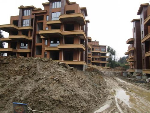 頭條丨 削山 一萬八千畝 峨眉半山 康養(yǎng) 開發(fā)亂象