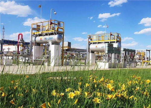 守護毛烏素的碧水藍天 長慶油田采氣三廠環保效益開發始終在路上