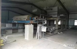 環保督察下的警示 龍頭企業污染、示范項目失靈與新型技術的破局之路